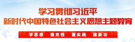 學(xué)習(xí)貫徹習(xí)近平新時(shí)代中國特色社會(huì)主義思想主題教育